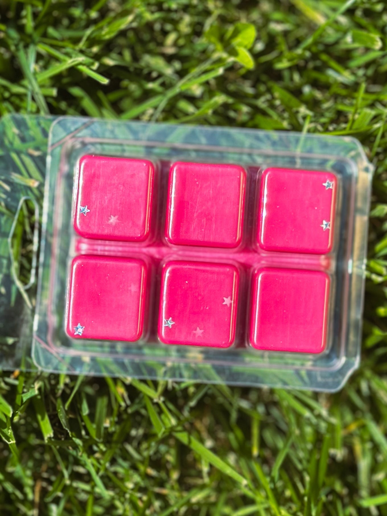 Galactic Guardians Wax Melt