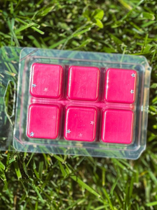 Galactic Guardians Wax Melt