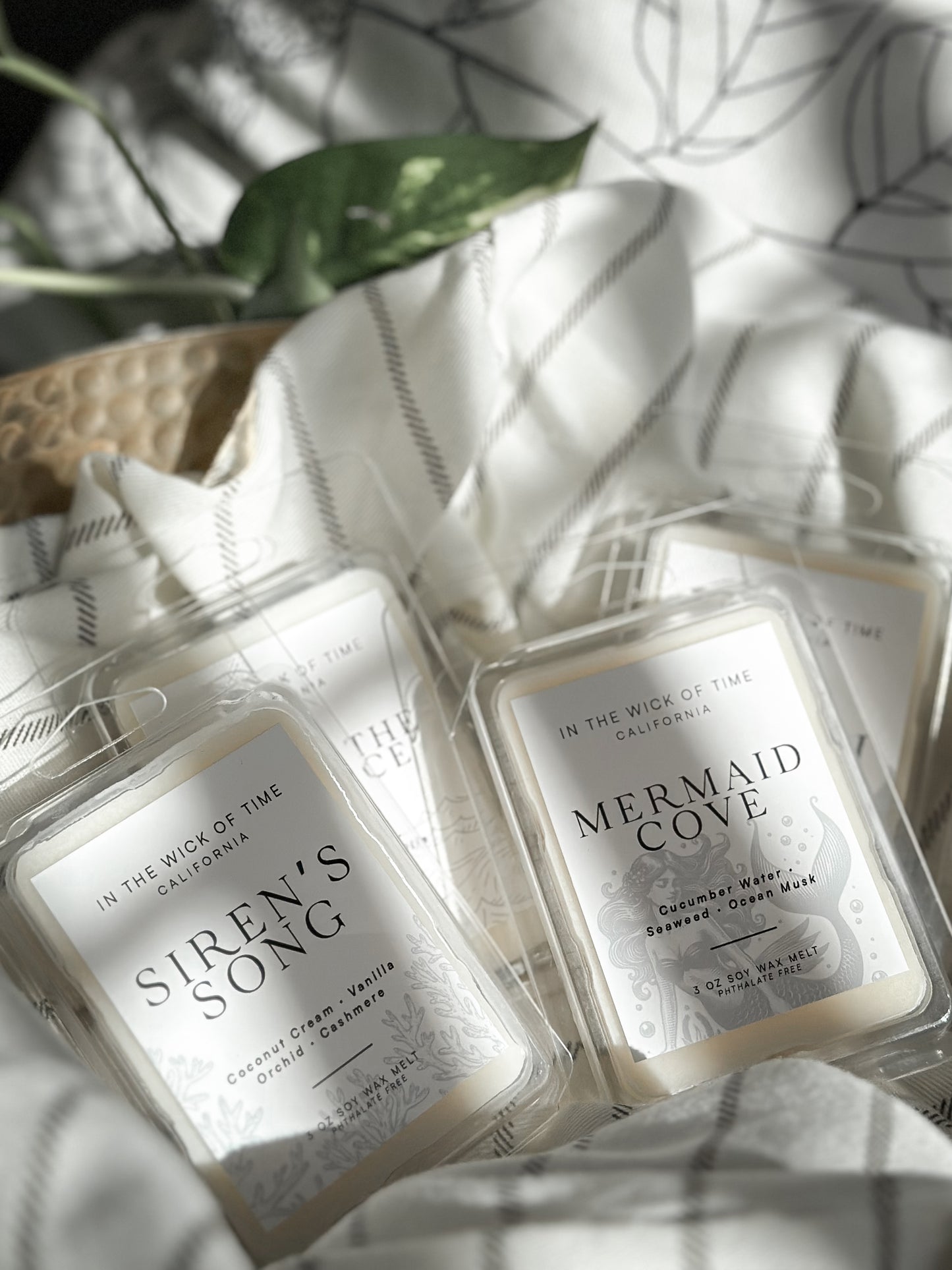 Above the Surface Wax Melt