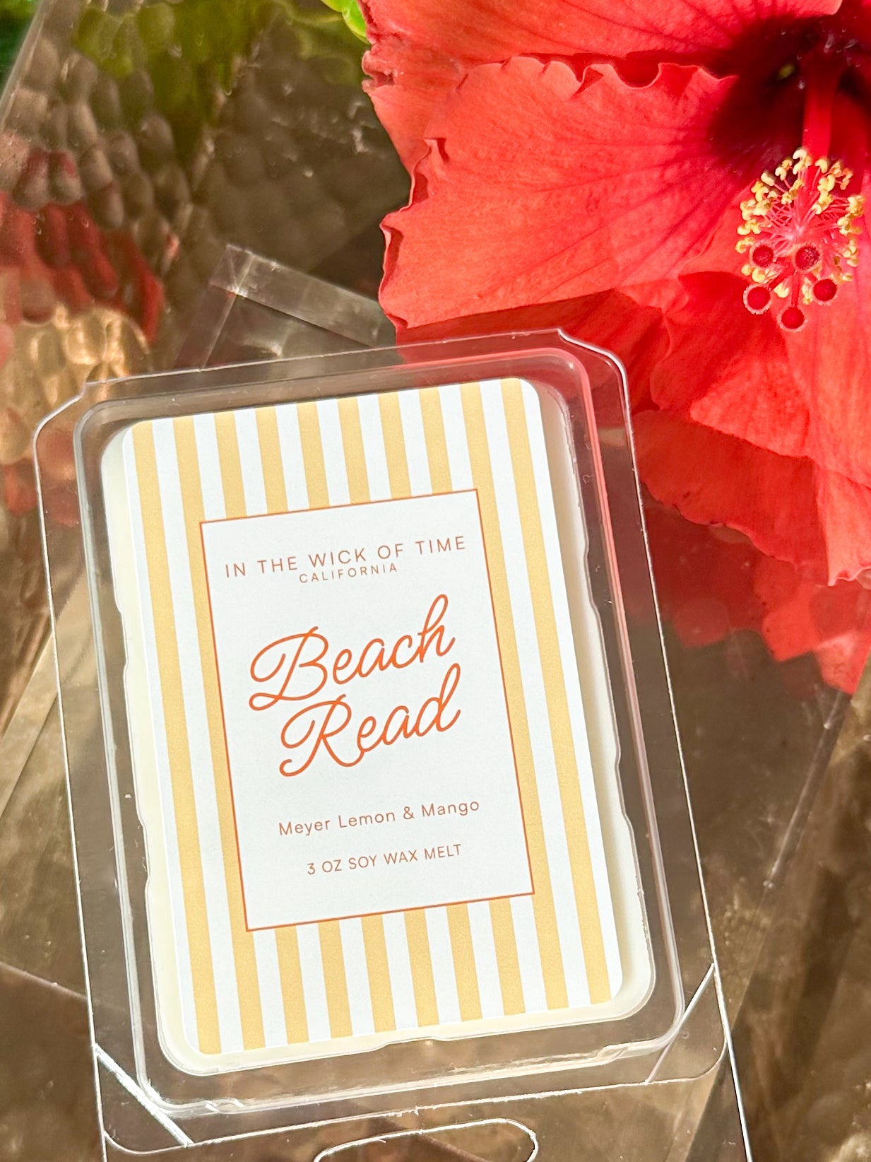 Beach Read Wax Melt