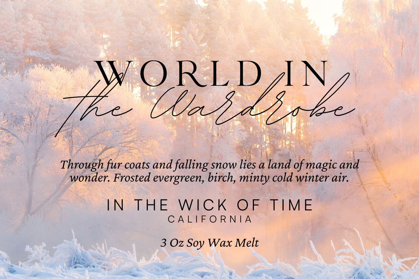 World in the Wardrobe Wax Melt